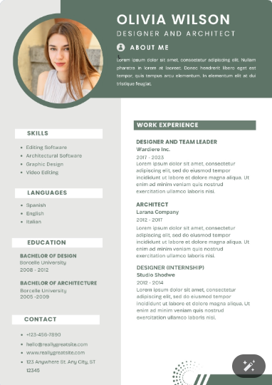 Professional CV Sample 19